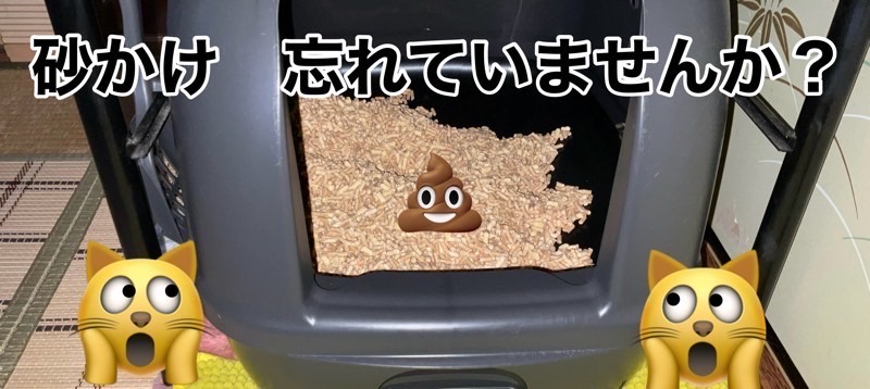 トイレの中の砂を見ながら「砂かけ忘れていませんか?」とツッコミが入るコミカルな写真。