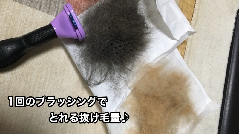 1回のブラッシングで取れた大量の抜け毛と使用したブラシの比較写真