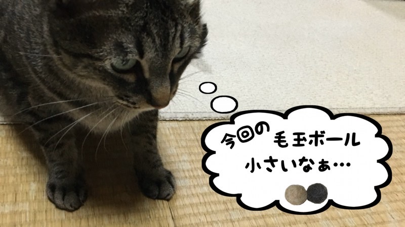 今回のブラッシングでできた毛玉が小さく、少し物足りなさそうな猫の様子