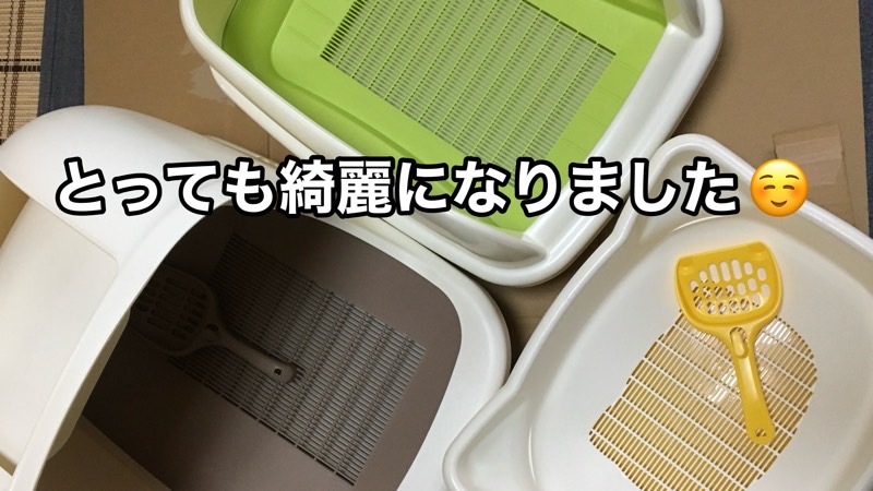 洗って乾かした複数の猫トイレが整然と並び、「とっても綺麗になりました」と表示された清潔感のある写真。