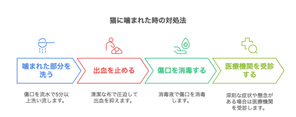 猫に噛まれた時の応急処置の流れを解説した図