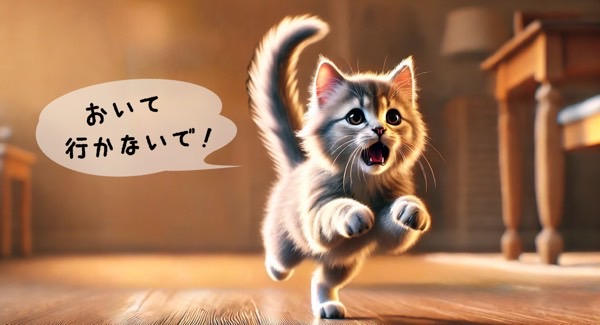 飼い主の後を追いながら不安そうに鳴く子猫の後追い行動