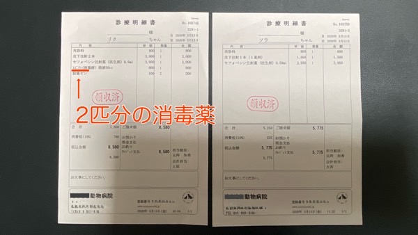 猫ニキビの治療費領収書 消毒薬代を含む実際の診療明細